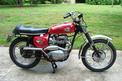 1966 BSA Hornet 650 Scrambler 001