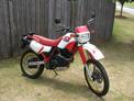 1989 Yamaha XT600 - sold for $1800.