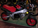 Auction bikes in Deland 309 001