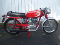 1967 Ducati Mach I Biltz